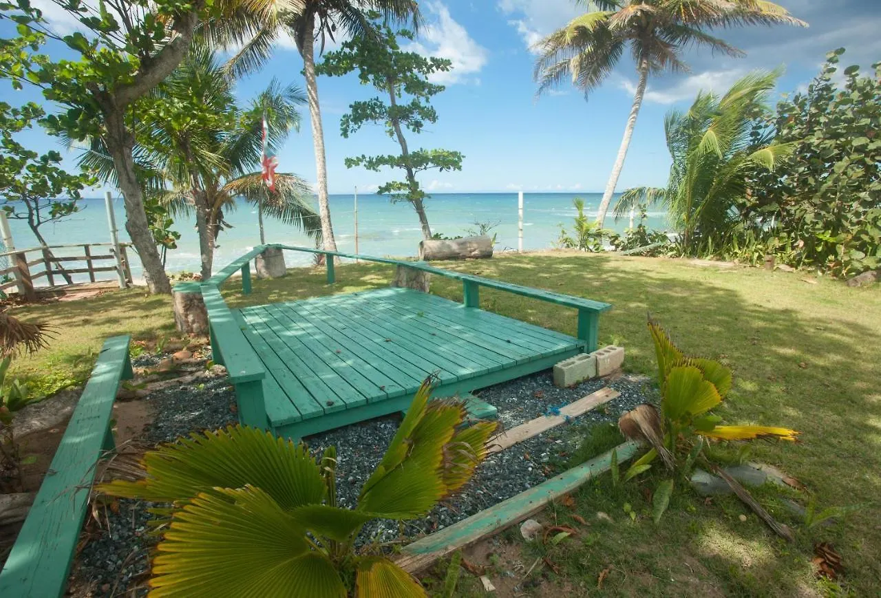 Beachfront Apt On Aguada-5Min From Rincon Aguada